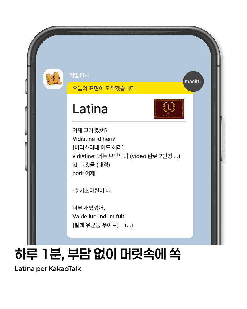 라틴어 서비스 소개 2