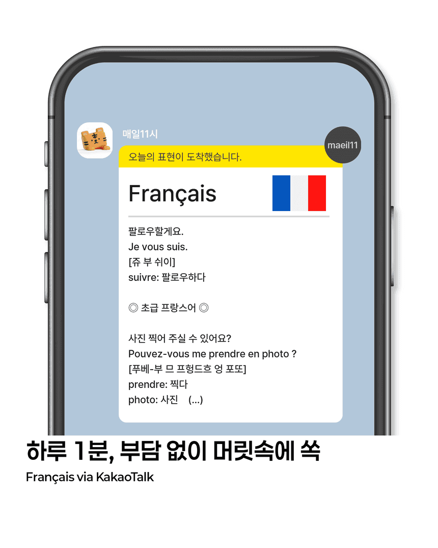 프랑스어 서비스 소개 2