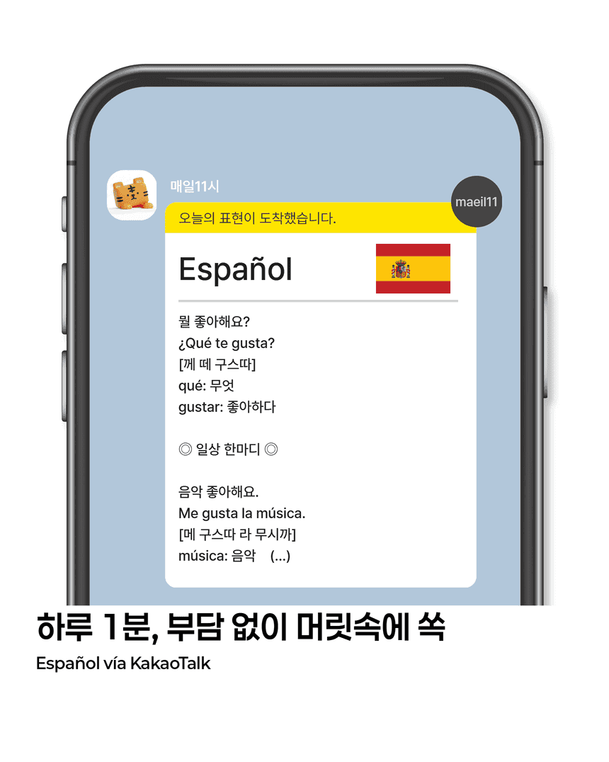스페인어 서비스 소개 2